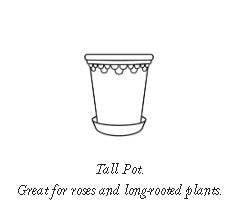 Københavner Rosa 10 Tall Pot with tray
