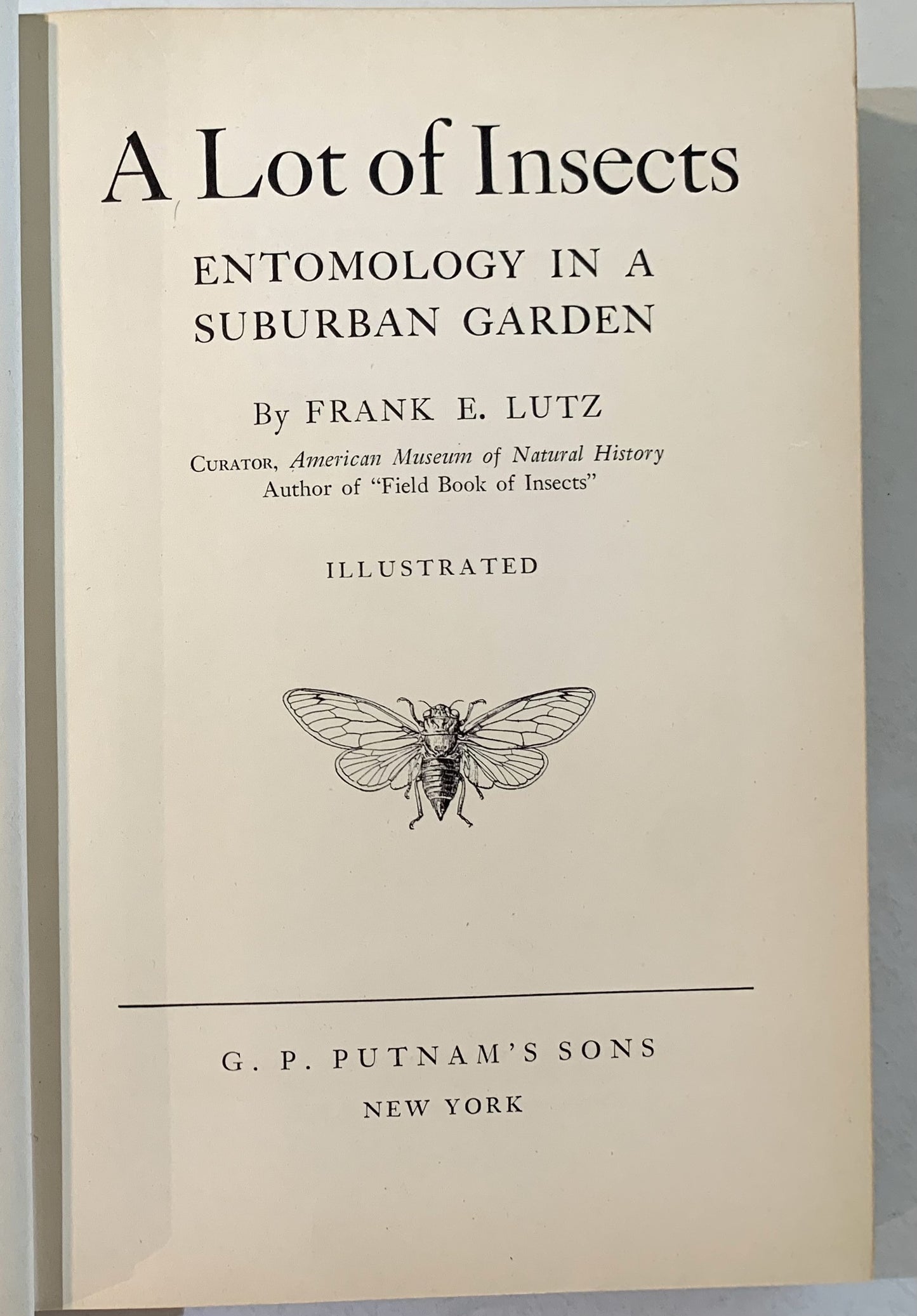 A Lot of Insects: Entomology in a Suburban Garden