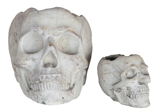 Concrete Momento Mori Skull , Small