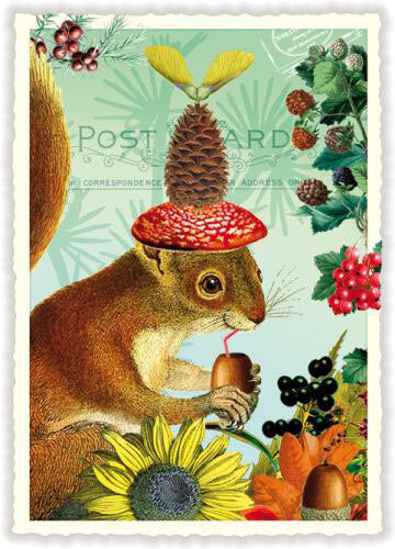 Squirrel Nuts Postcard