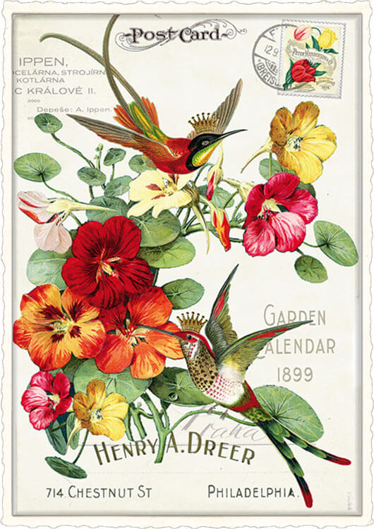 Bird & Nasturtiums Blank Postcard