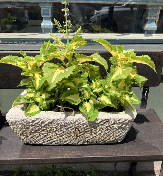 Vintage Concrete Rectangle Planter