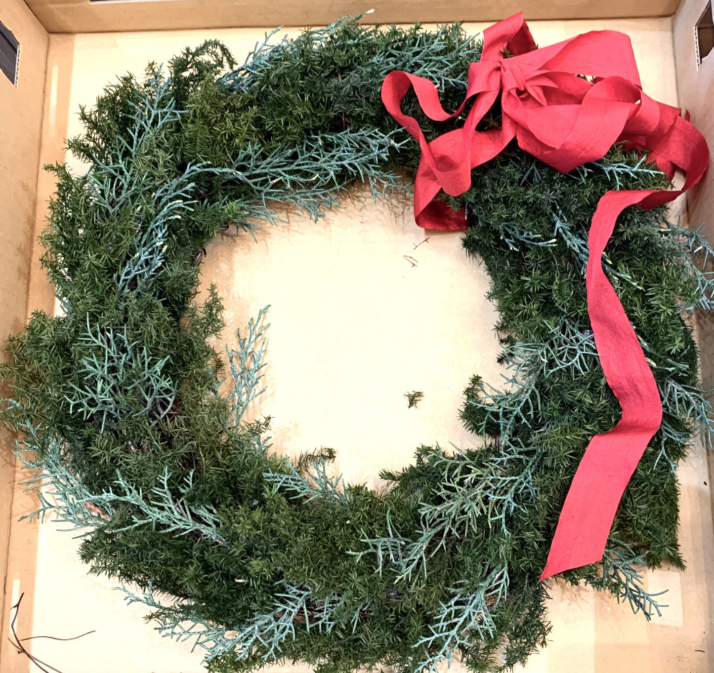 Preserved Evergreen Christmas Wreath 16"