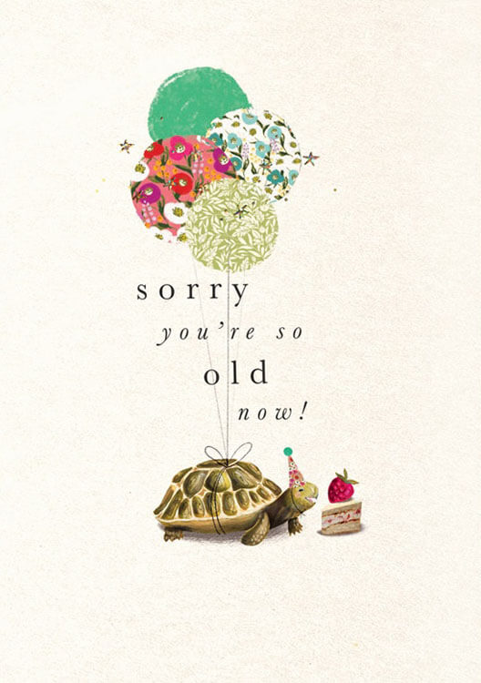 Sorry Tortoise Birthday Greeting Card