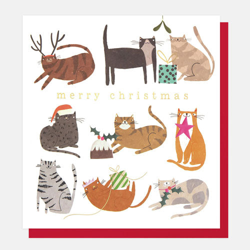 Xmas Cats Greeting Card