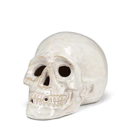 Small Skull-White-5.5"L