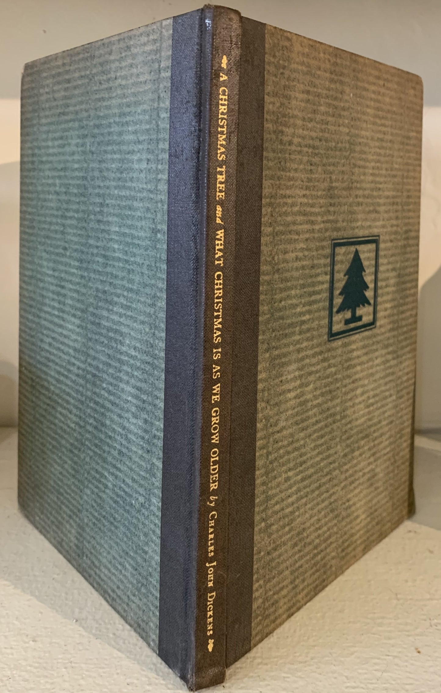 A Christmas Tree & What Christmas Is As We Grow Older