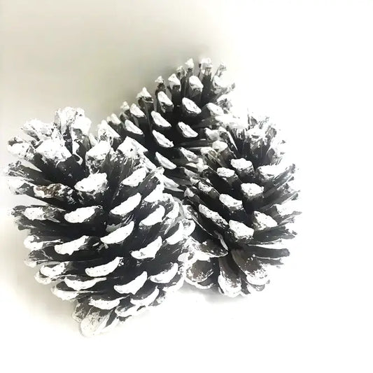 Tipped White Extra Large Pinecone