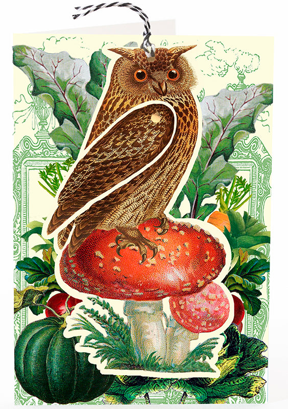 Single Greeting Card, Brown Owl