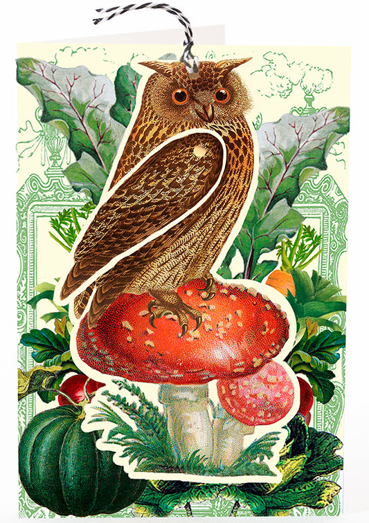 Single Greeting Card, Brown Owl